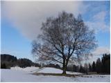 Cerkno - Veliki vrh (Lajše)